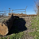 The only access point at Longhorn Speedway that isn’t overgrown with weeds—the former car entrance to the track.
